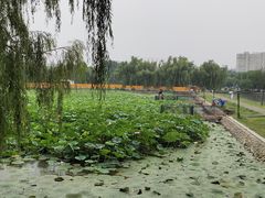 -长白岛森林公园