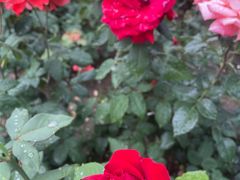 -大望路(地铁站)