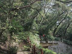 -燕晗山郊野公园