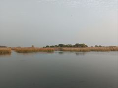 -苏州太湖国际会议中心