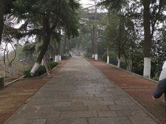 -龟山风景区-龟山电视塔