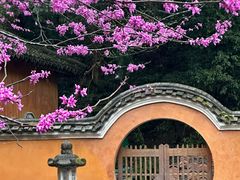 -天台山赤城山景区