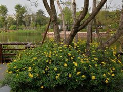 -成飞公园
