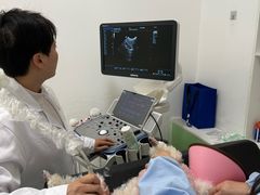 -汪喵宠物医院·骨科心脏影像·犬猫急重症ICU诊疗中心(成华分院)