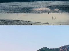 -北岐滩涂