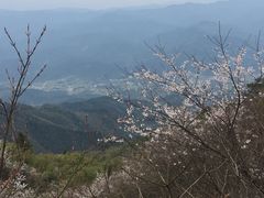 -大围山国家森林公园