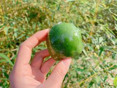 -华东政法大学第二食堂(松江校区)
