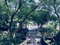 -广州市流溪河国家森林公园