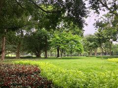 -云溪植物园