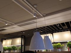 大堂-肯德基(观前新店)