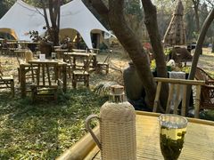 -阳光家常菜游客餐厅(千佛山店)