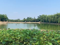 -石家庄市动物园