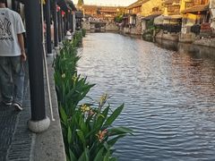 -西塘人家•黑金冠本地好店
