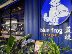 -bluefrog蓝蛙(皇庭广场店)