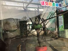 -无锡动物园·太湖欢乐园