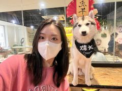 -Husky Go! 哈士奇体验馆·宠物咖啡厅狗咖