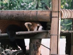 -杭州少年儿童公园
