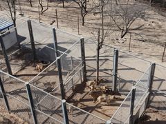 -青藏高原野生动物园