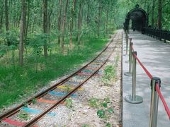 -合肥滨湖国家森林公园