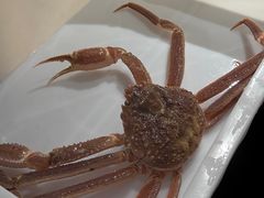 -蟹后Crabber(水悦城店)