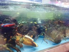 -盒马鲜生(宝地店)