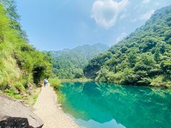 -大奇山国家森林公园