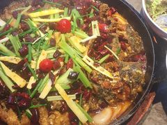 -老板恋上鱼(恒隆广场店)