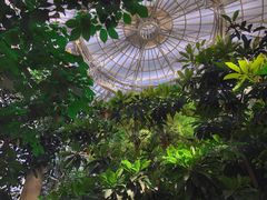 -郑州植物园