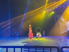 -重庆国际马戏城