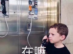 -金凤成祥(草桥店)