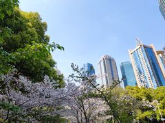 -陆家嘴中心绿地