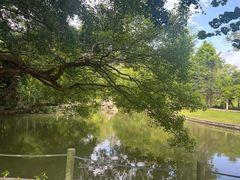 -广西壮族自治区药用植物园