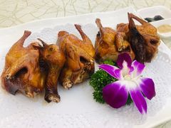 石岐乳鸽-轩记海鲜餐厅·四十五年老字号·经典粤菜(西区彩虹店)