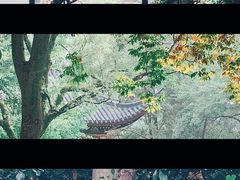 -汇龙潭