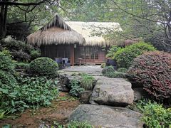 -中国茶叶博物馆(双峰馆区)