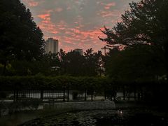 -深圳国际园林花卉博览园