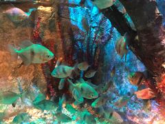 -沈阳海洋探索中心