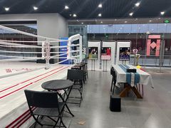 -臻元搏击格斗泰拳拳馆(港隆店)