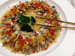 -金星大酒店(东街店)