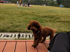 -千龙湖生态旅游度假区