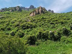 -灵山