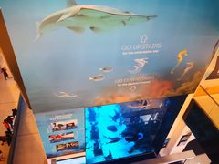 -迪拜水族馆及水下动物园