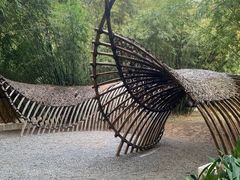 -深圳仙湖植物园