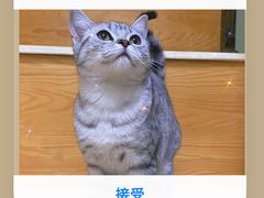 -瑞派天宁宠物医院·猫科·异宠中心
