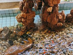 -良友·海鲜青岛菜(五四广场店)