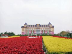 -百万葵园
