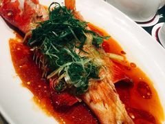 -陶陶居海鲜酒家(新马路店)