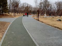 -回龙观体育文化公园