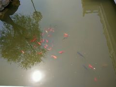 -威海华夏城景区