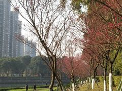 景点-望江楼公园